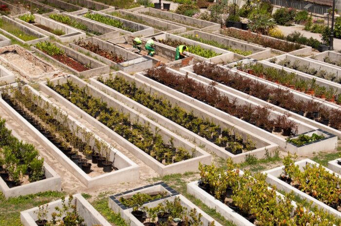 Estufas del Retiro Nursery: cultivation areas. Author: Carmen Toribio.