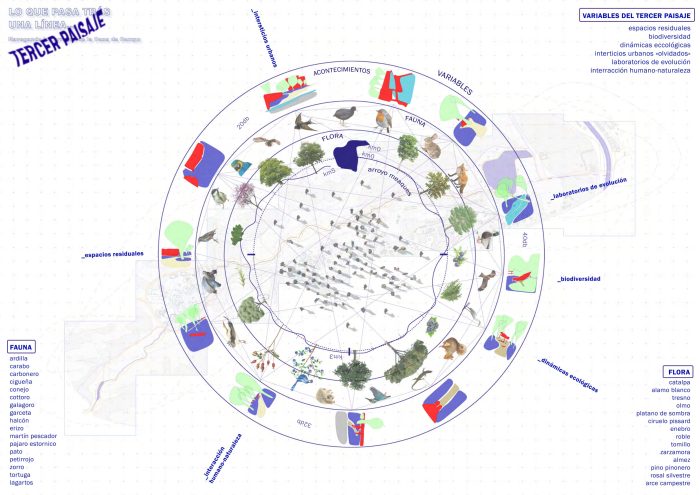 Thematic maps of Casa de Campo prepared by the author (2024).