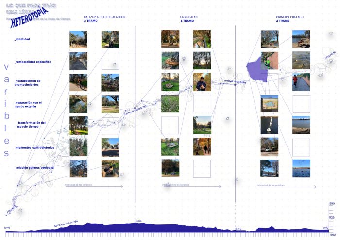 Thematic maps of Casa de Campo prepared by the author (2024).