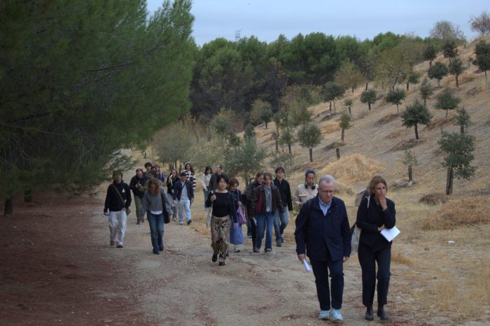 Guided tour and fieldwork at Cerro Almodóvar, one of the five case studies selected for the workshop, on the outskirts of Madrid.