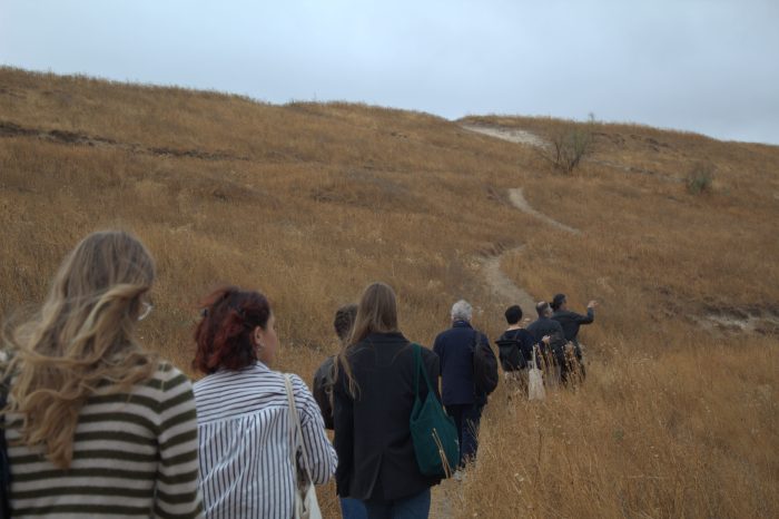 Guided tour and fieldwork in Cerro Almodóvar, one of the five case studies selected for the workshop, in the outskirts of the city.