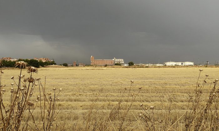 Photograph of the old El Águila brewery in Villaverde, taken by the author in 2025 from the surrounding farmlands. It is worth noting how the brewery is located precisely on the line where the city ends and the countryside begins; or rather, where these two realities converge.